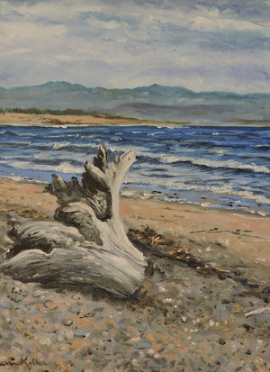 Driftwood on St. George's Bay