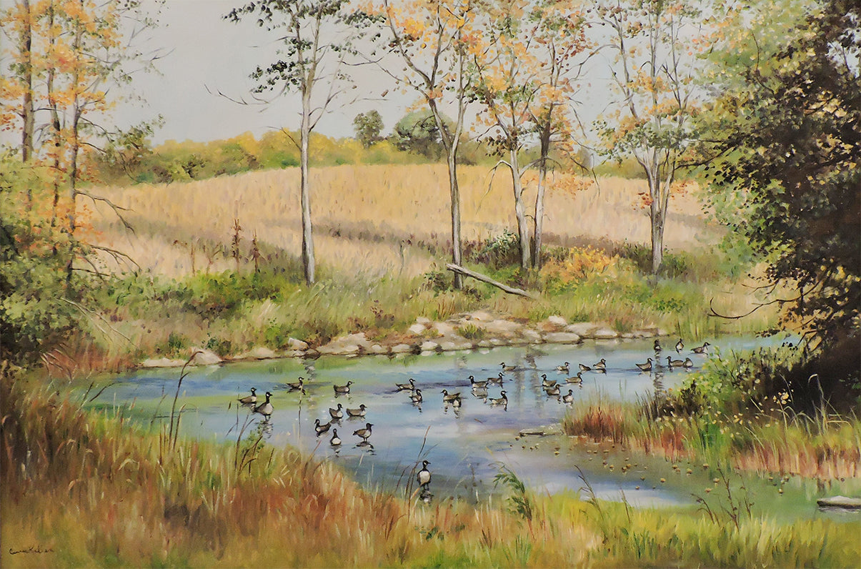 Geese on the South Nation - Oil on Canvas