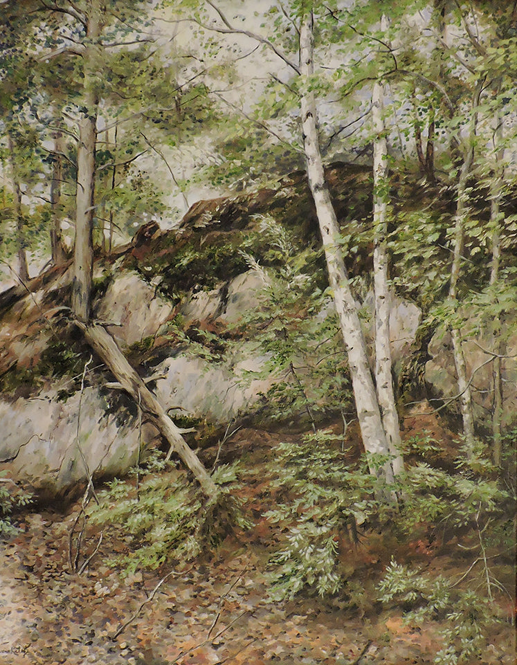 Shield Rocks and Birches - Oil on Canvas