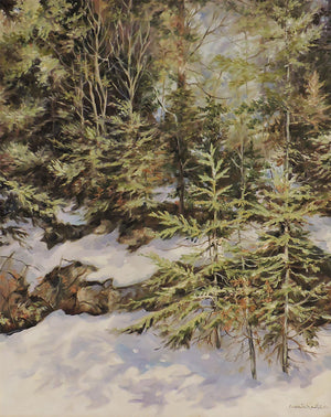 Spring in Algonquin Park - Oil Painting on Canvas