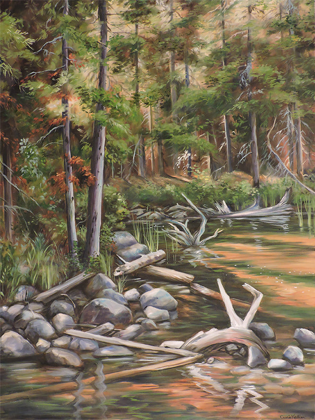 Lake Driftwood - Oil on Canvas
